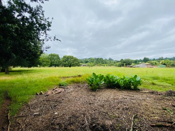 1 960 m² Smallholding