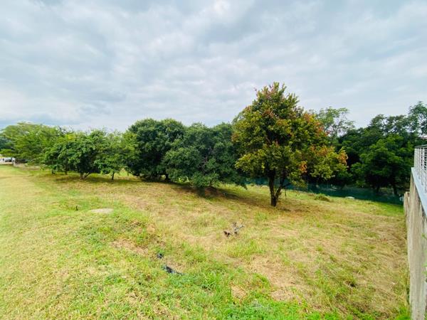 1 182 m² Land