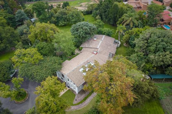 530  m² Commercial space