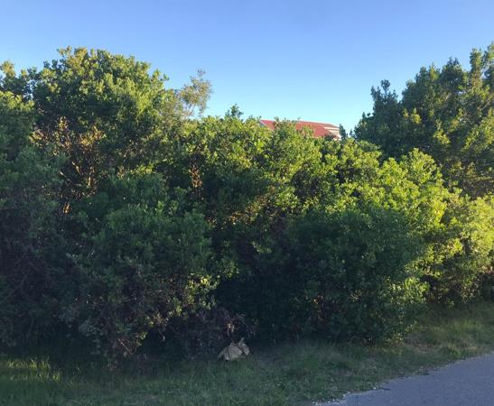1 202 m² Land
