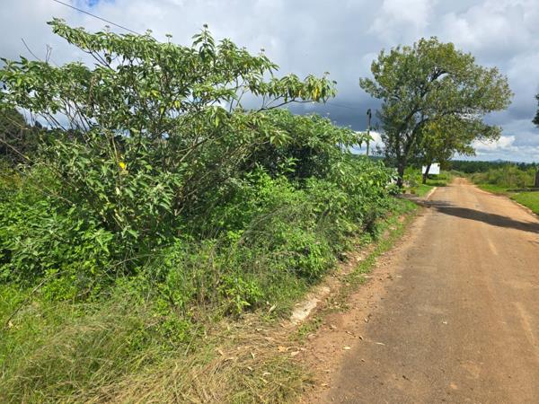 1 115 m² Land
