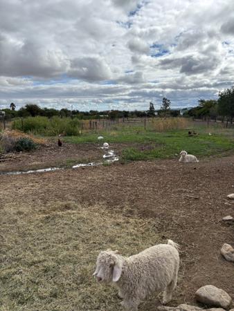 3 113 m² Land