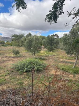 3 632 m² Land