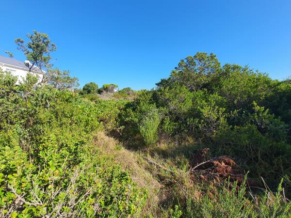 1 387 m² Land