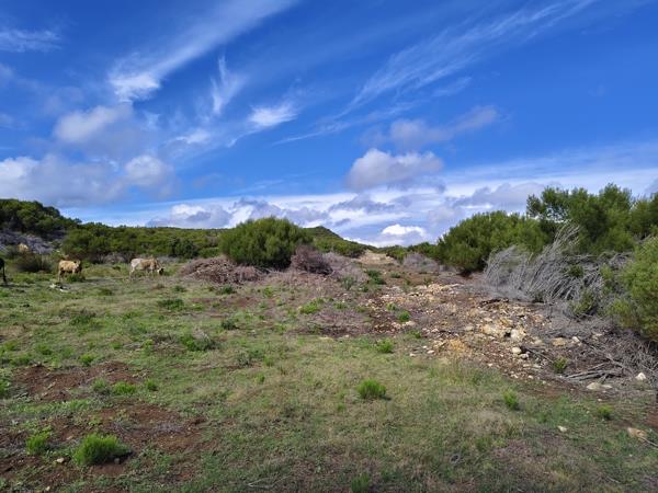 118.7 ha Farm