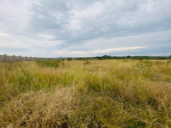 1 ha Land