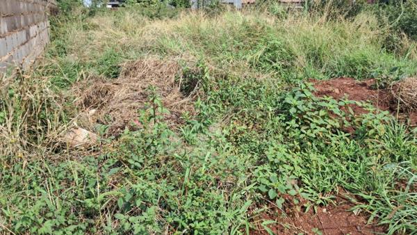 533 m² Land
