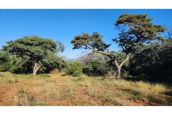3.2 ha Land