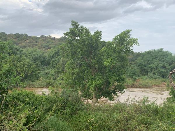1.5 ha Land