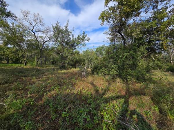 6 477 m² Land