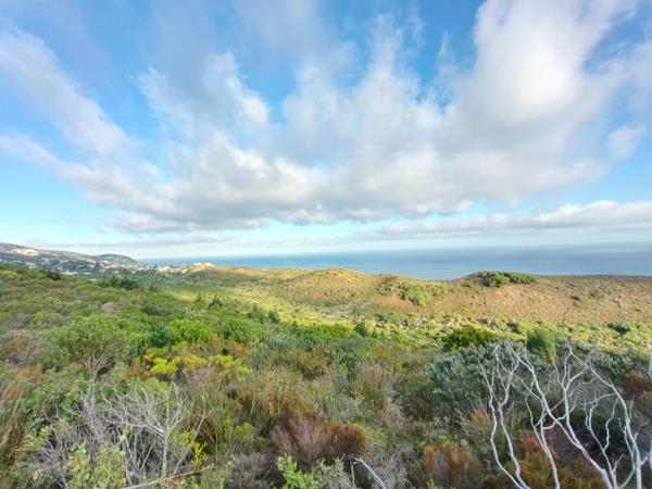 21.2 ha Land