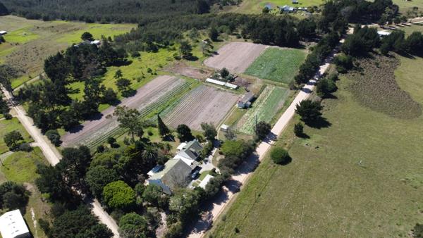 6.5 ha Smallholding