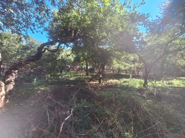 800 m² Land