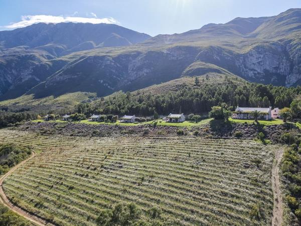 320 ha Farm with House