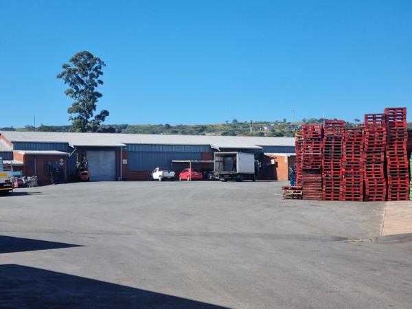 246  m² Commercial space