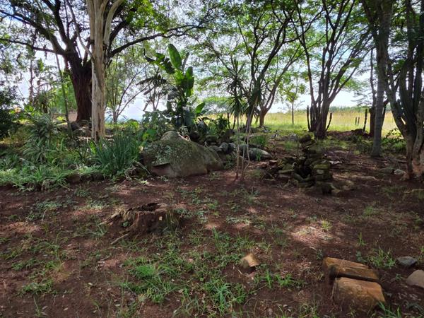 9.8 ha Land