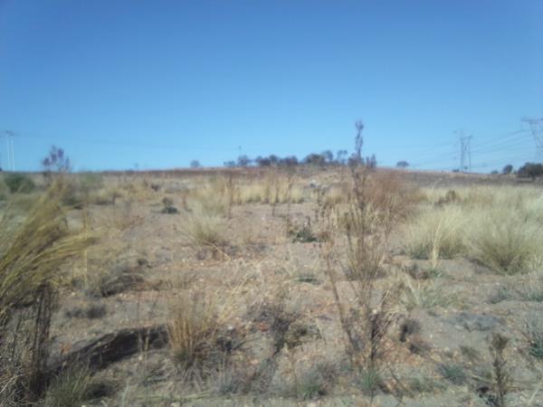 5 ha Farm