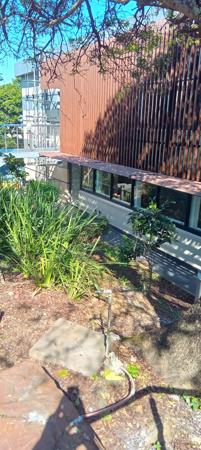 176  m² Office Space