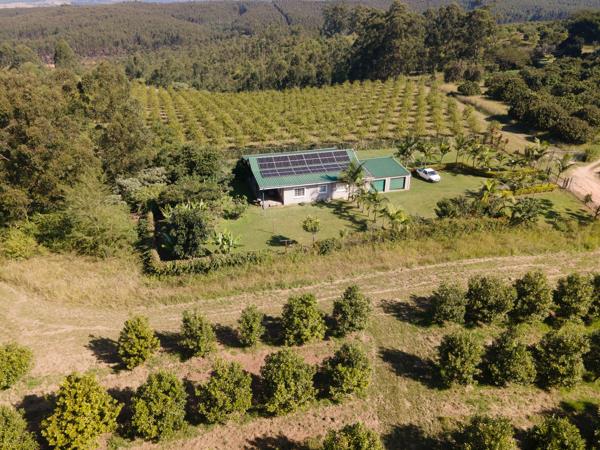 2.1 ha Agricultural Holding