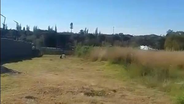 2 342 m² Land