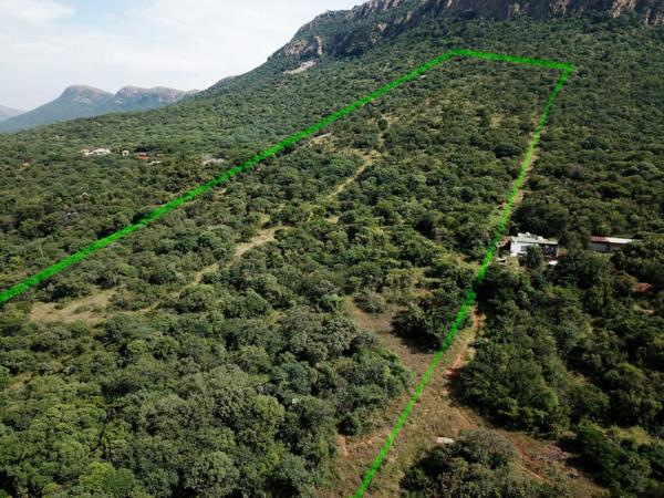 4.2 ha Smallholding