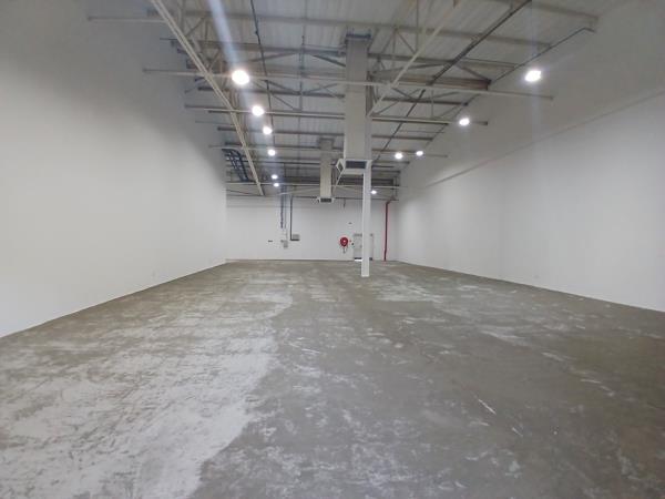 300  m² Retail Space