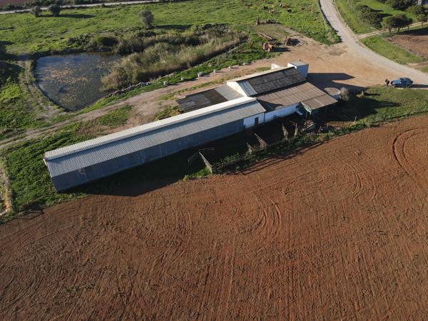 123 ha Farm