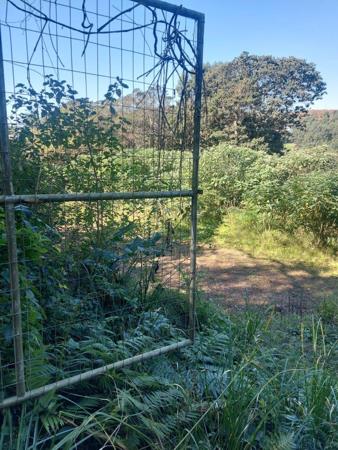 4 977 m² Land