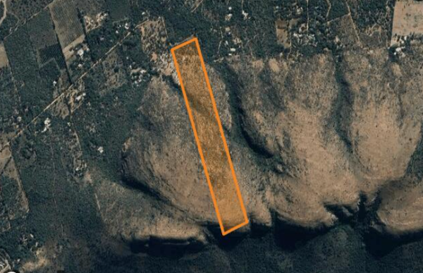 20.5 ha Smallholding