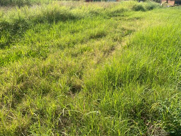 1 447 m² Land