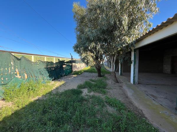 6.5 ha Land