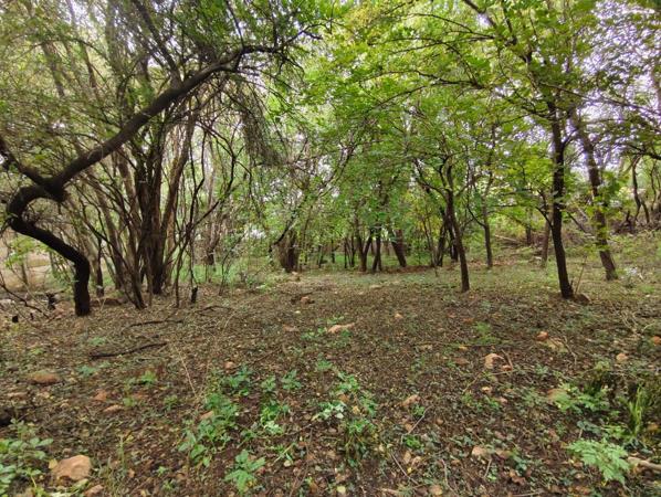 1 483 m² Land