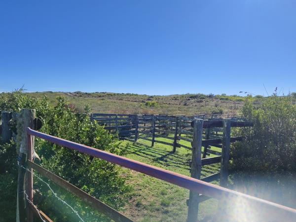 576 ha Farm