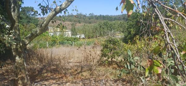 1 367 m² Land