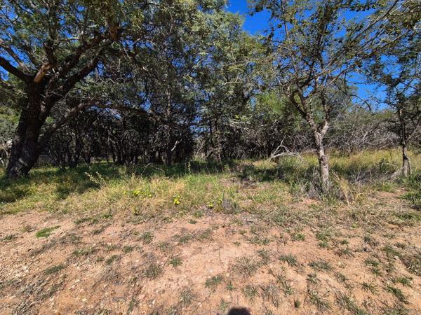 1 002 m² Land