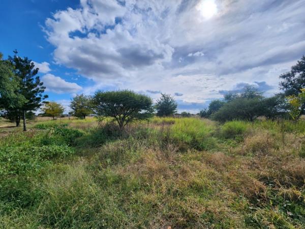 8.6 ha Smallholding