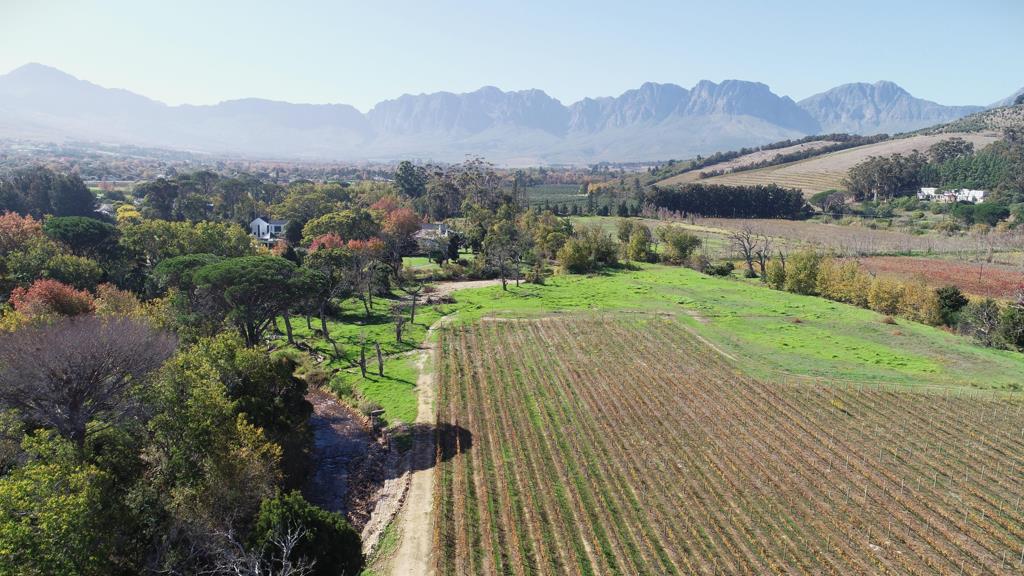 19.9 ha Farm