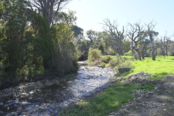 19.9 ha Farm