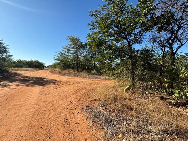 21 ha Land