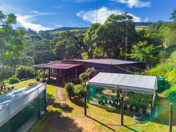 6.8 ha Smallholding