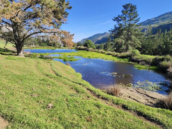 910 ha Farm