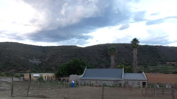 100 ha Farm