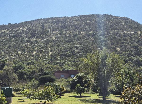 21.4 ha Smallholding