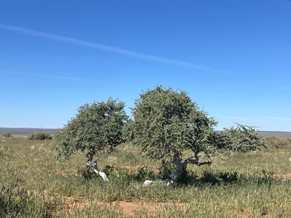 4 730 ha Farm