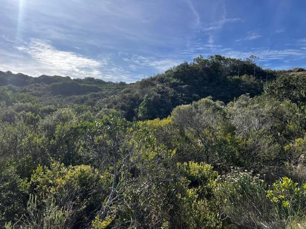 815 m² Land