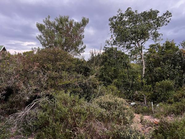 907 m² Land