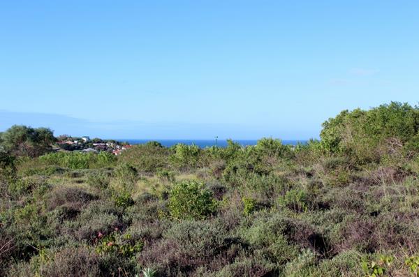 465 m² Land