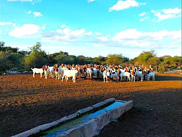 1 895 ha Farm