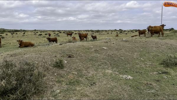 179 ha Farm