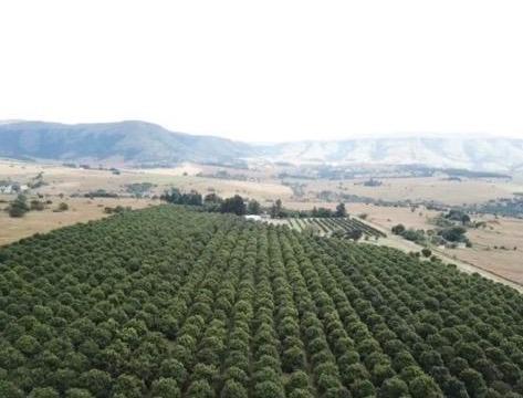 102 ha Farm